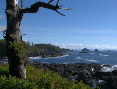 Wild Pacific Trail 