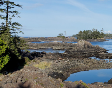 Wild Pacific Trail 