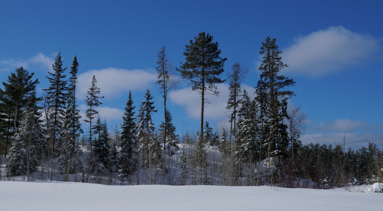 Winter impression 