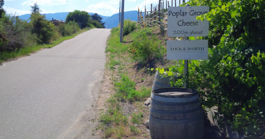 Wine Tour By Bicycle