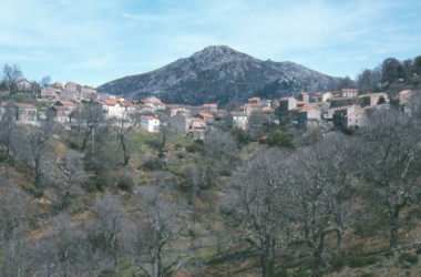 Corsica 1983 