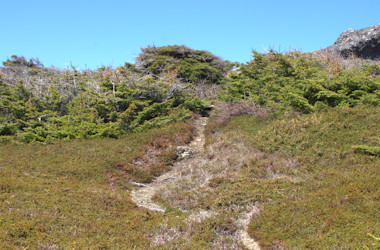 Trail to the top above the coves 