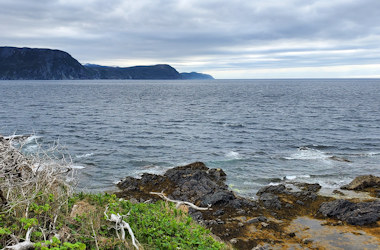 View from Lobster Cove Lighthouse