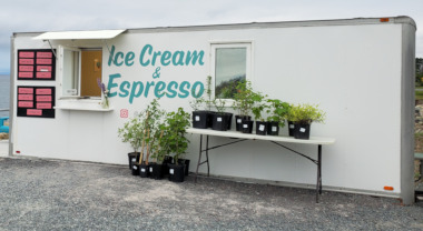 Ice Cream & Espresso 
