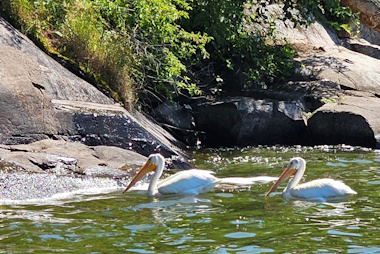 Nestor Falls Ontario 